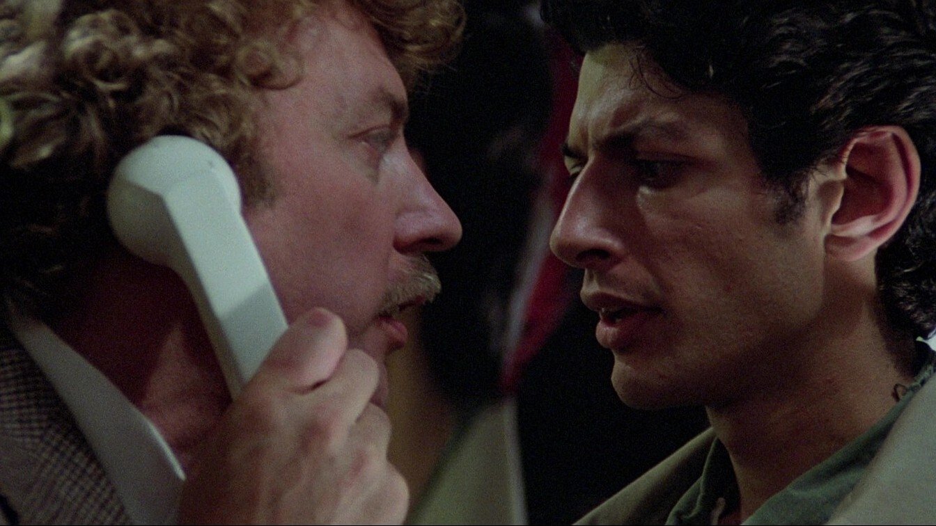 Os Invasores de Corpos