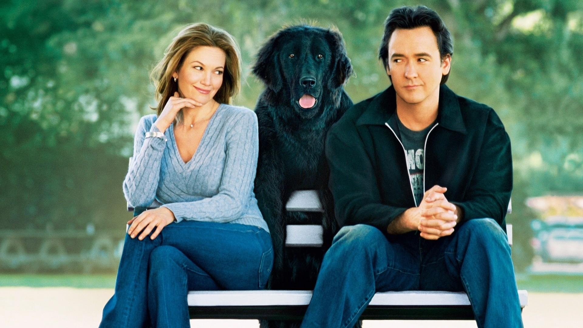 Procura-se um Amor que Goste de Cachorros