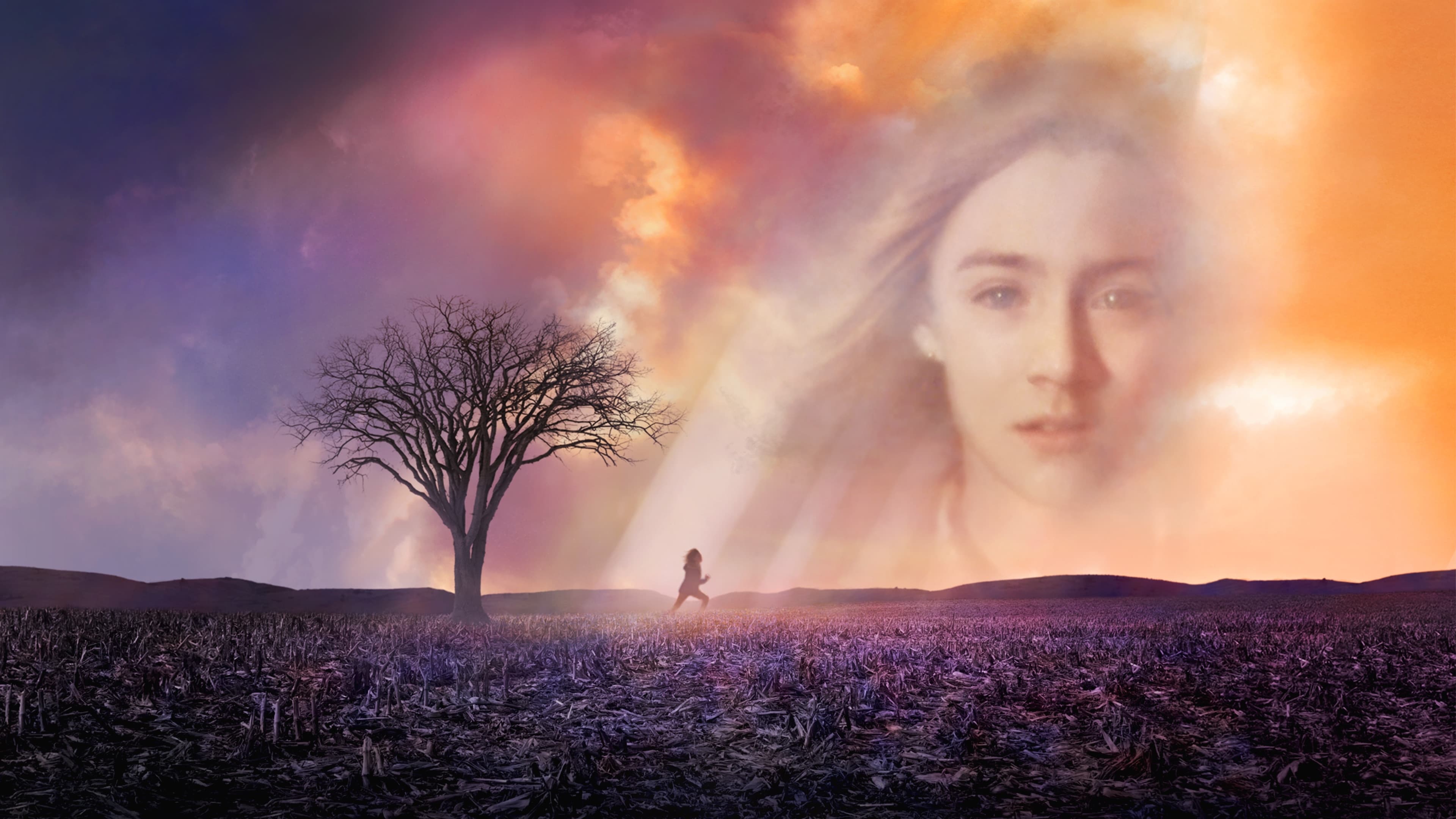 Um Olhar do Paraíso